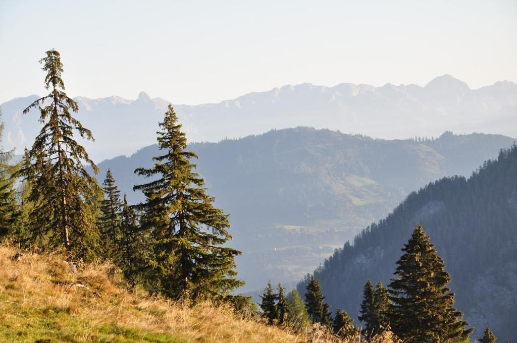Pension Posauner Dorfgastein Esterno foto